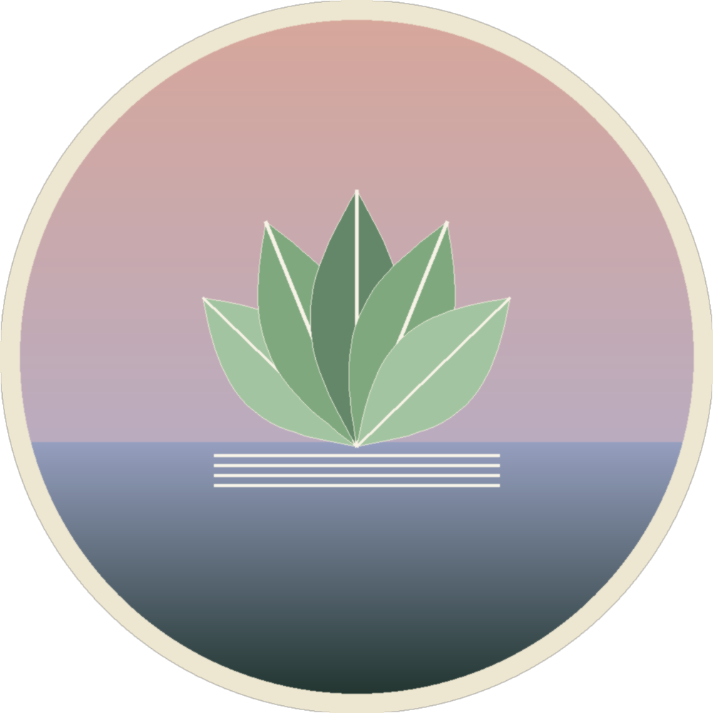 agelessaspirations.org